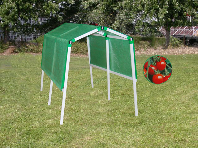 Tomatenhaus gr�n